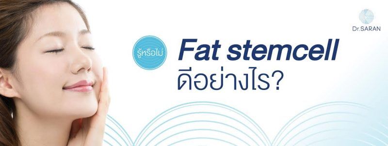 fat stemcell ดีอย่างไร