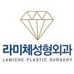 Lamiche Plastic Surgery