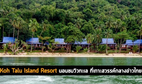 Koh Talu Island Resort ที่พักบนเกาะสวรรค์กลางอ่าวไทย
