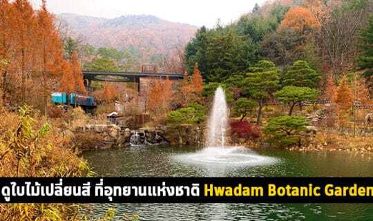 Hwadam Botanic Garden