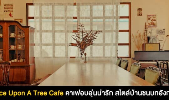 Once Upon A Tree Cafe