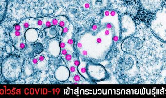 เชื้อไวรัส COVID-19